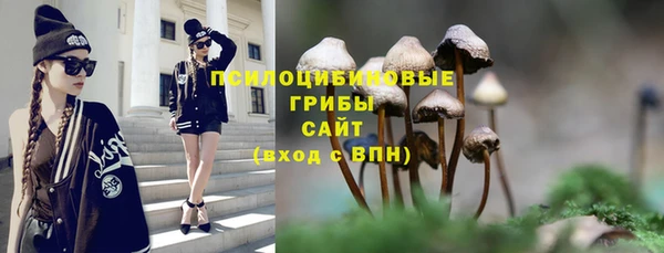 спиды Балабаново