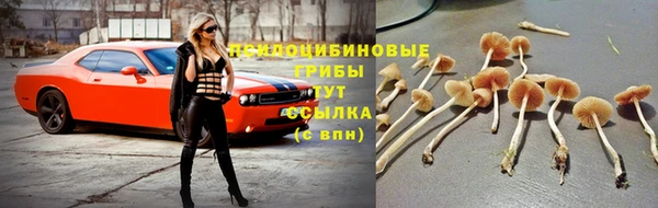 бутират Балахна