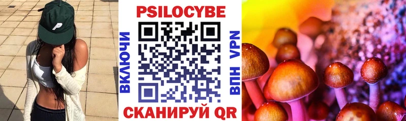 наркошоп  Беслан  Галлюциногенные грибы прущие грибы 
